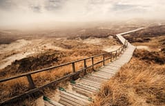 Discipleship_web_feature